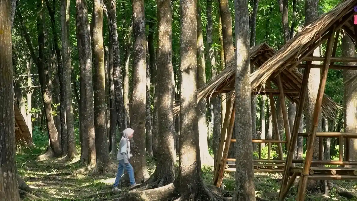 Tempat Nongkrong Blora: Hidden Gem di Bawah Hutan Jati