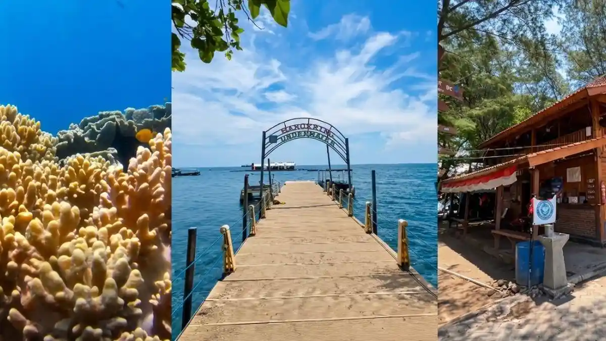 Liburan Sekolah ke Banyuwangi, Bangsring Underwater Menarik