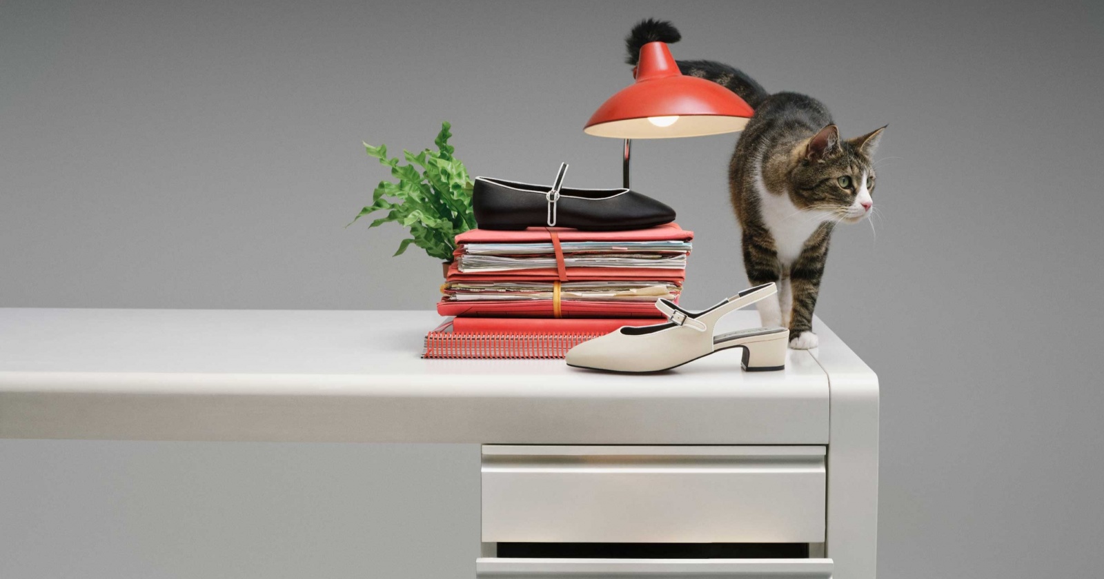 Office Shoes Nyaman: Tren Pilihan Pekerja Urban